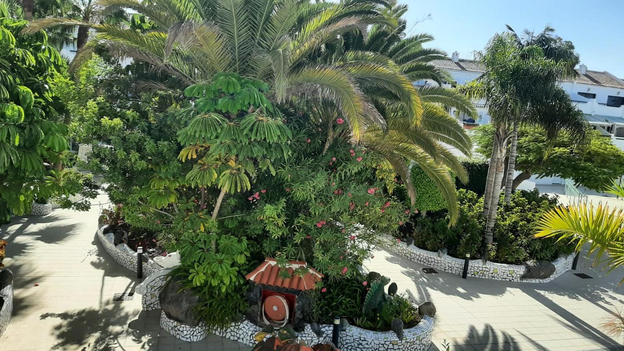 Blue Bay Paradise - Beach Front Apartment With Sea View Playa Paraíso Eksteriør billede